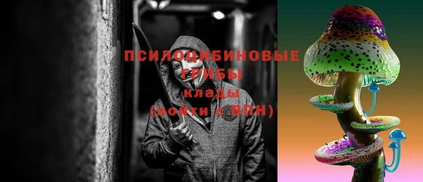 МДПВ Бронницы