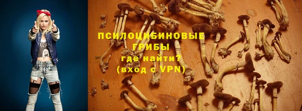 скорость Бородино